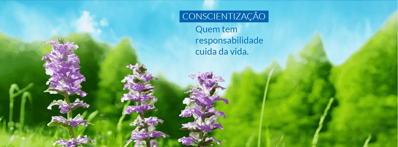 Responsabilidade Ambiental